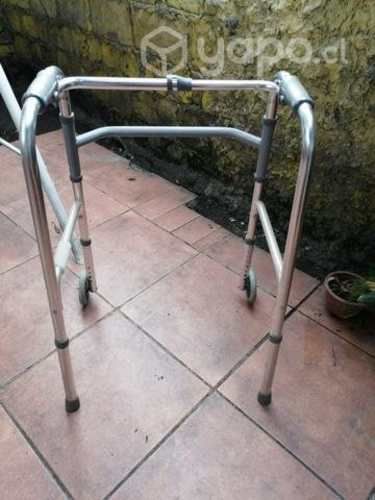 Burrito andador Nuevo adulto