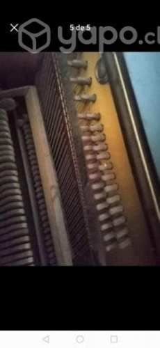 Piano Aleman Apollo Dresden