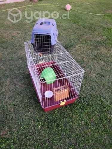 Jaula De Casa+ Jaula De Viaje Para Mascotas Pequeñ