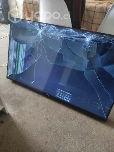 Smartv Caixun 55" Rota