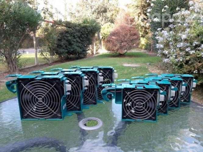 Servidores - Discos - Ups