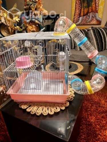 Jaula para hamsters