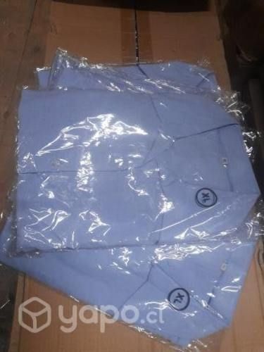 Blusa ejecutiva, Oxford celeste