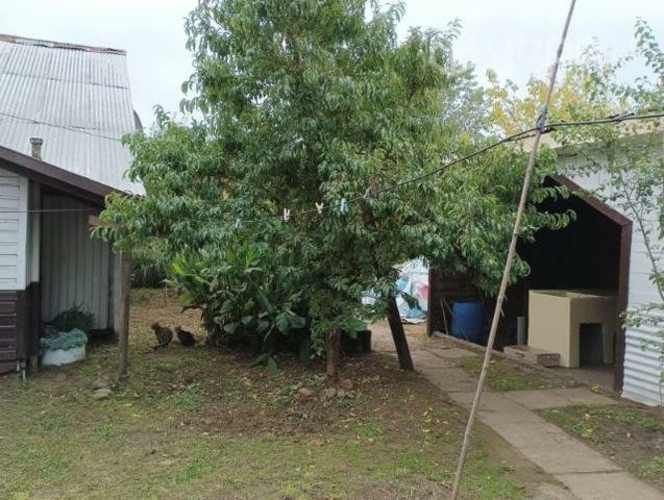 casa comuna pitrufquen Araucania