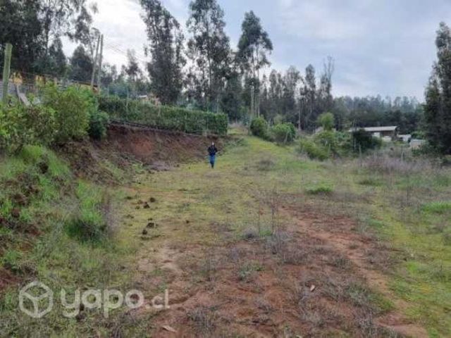 Terreno En Parcelación el Gran Eucalipto