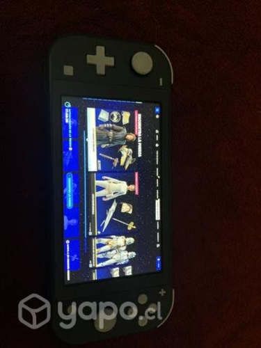 Nintendo switch lite