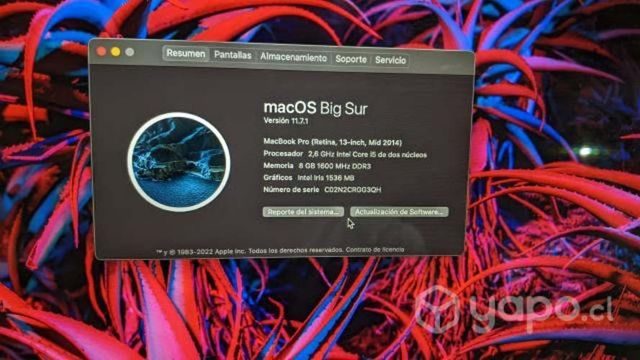 Macbook Pro Retina 13 (Mid 2014)