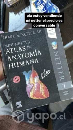 MINI NETTER, atlas de la anatomia humana