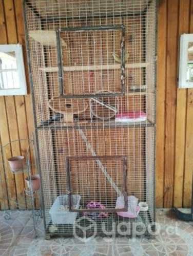 Jaula para chinchilla