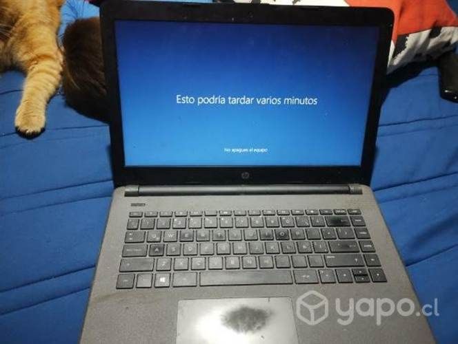 Netbook sin detalle