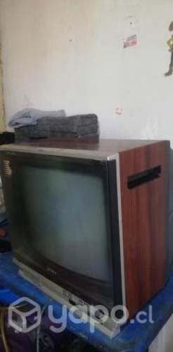 Vendo televisor SONY TRINITON