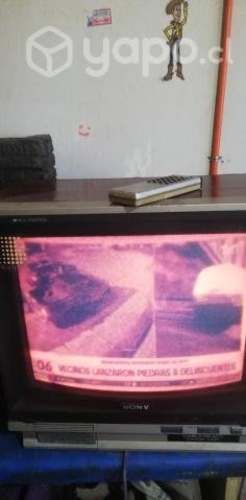 Vendo televisor SONY TRINITON