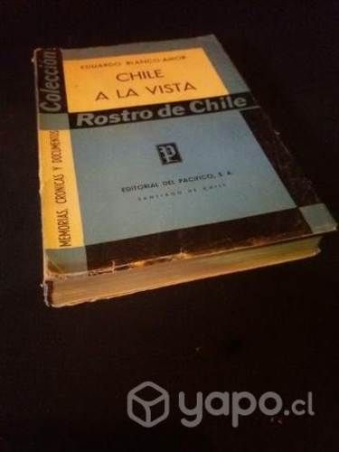 Libro Chile a la vista