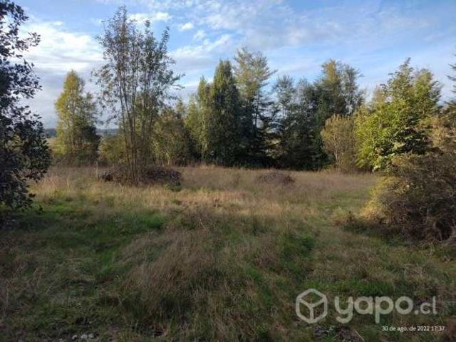 Vendo parcela sector San Carlos comuna de los muer