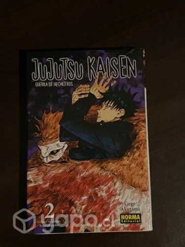 Manga jujutsu kaisen tomo 2