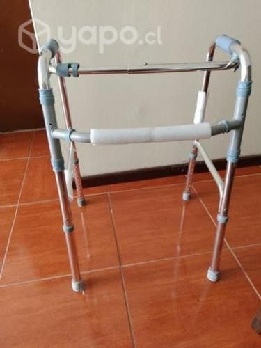 Burrito adulto mayor