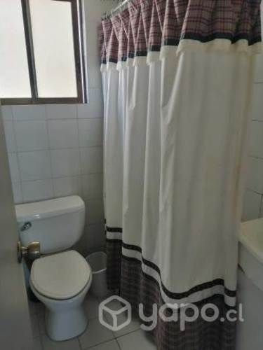 Año corrido céntrico