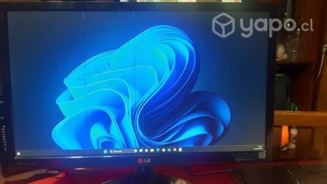 Monitor LG