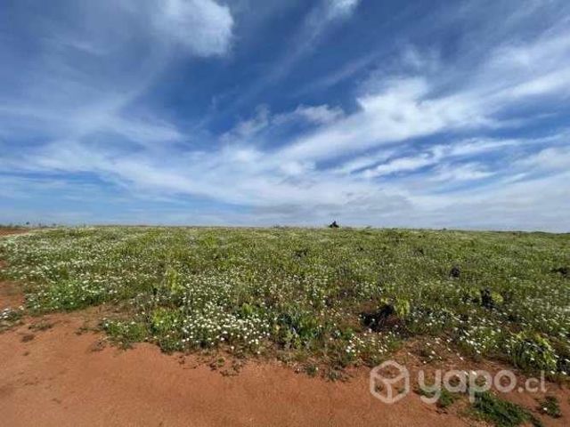 Parcelas quilaco rol propio 5000m2