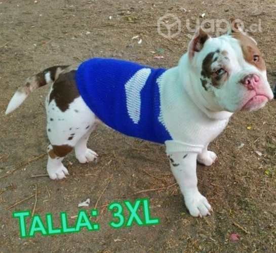 Chalecos Para perros