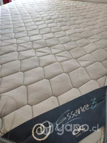 Cama 2 Plaza base divida CIC