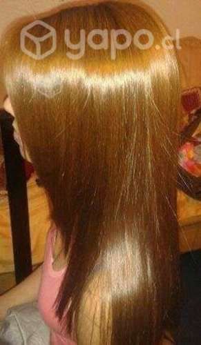 Alisados Brasil cacao