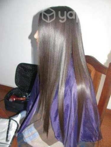 Alisados Brasil cacao