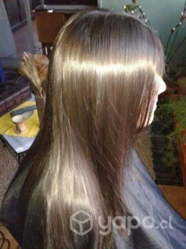 Alisados Brasil cacao