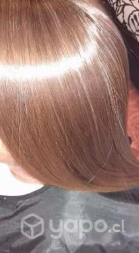 Alisados Brasil cacao