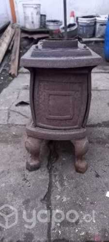 salamandra en buen estado