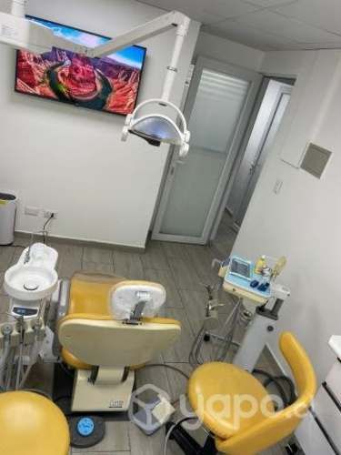 Sillón dental Belmont
