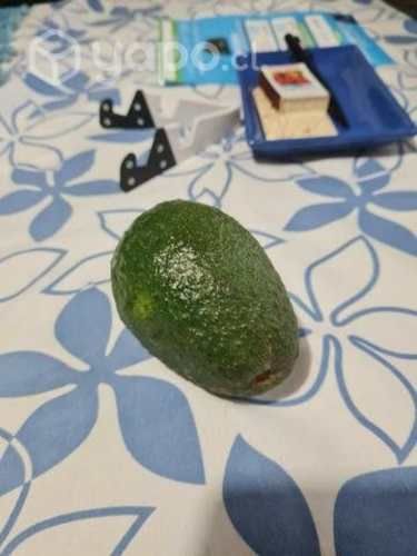 palta hass cremosa