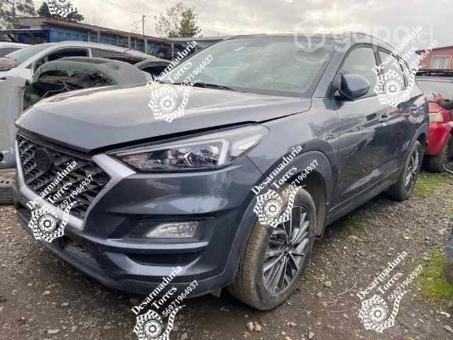 Tapiz de puerta Tucson 2019