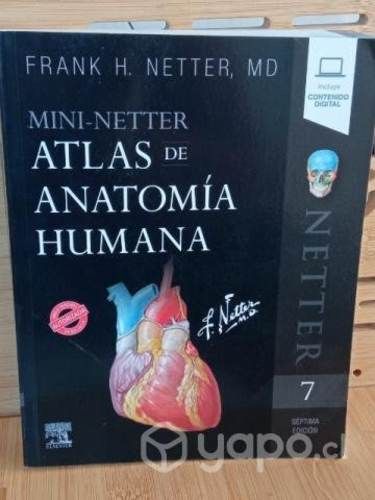 Netter atlas de Anatomía Humana