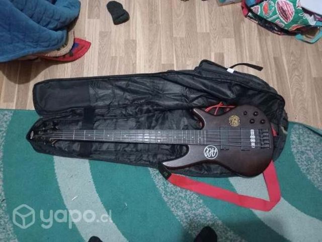 Bajo ibanez GSR205BF de 5 cuerdas-WALNUT FLAT