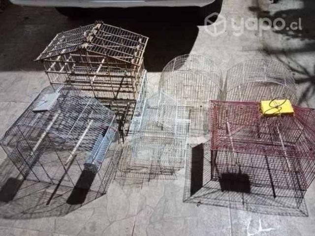 Jaulas para pajaritos