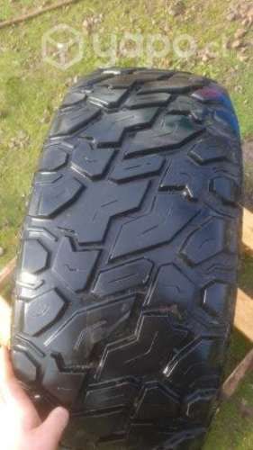 Neumaticos apluss 33