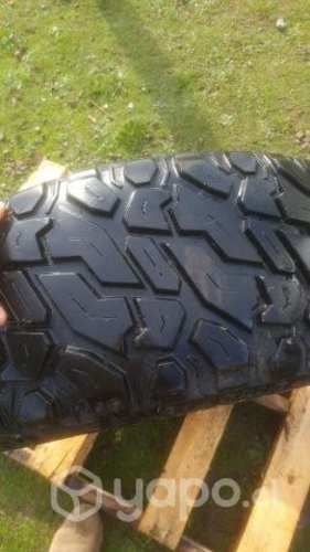 Neumaticos apluss 33