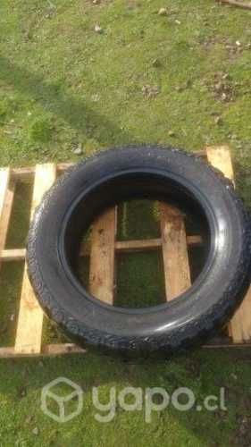 Neumaticos apluss 33