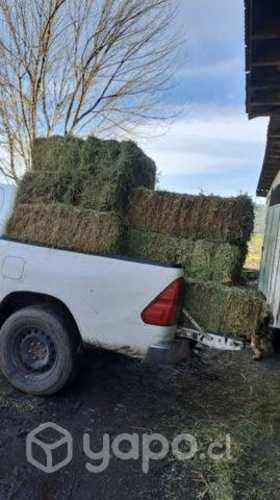 Fardos alfalfa excelente calidad (limpios)