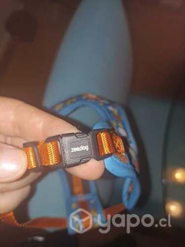 Arnés talla S perrito Zeedog
