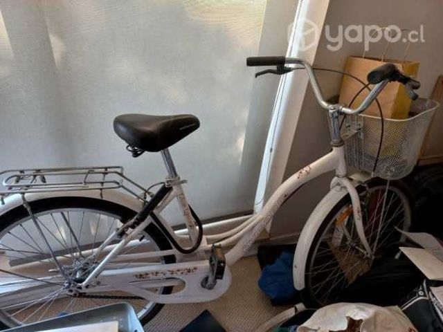 bicicleta de paseo estilo vintaje
