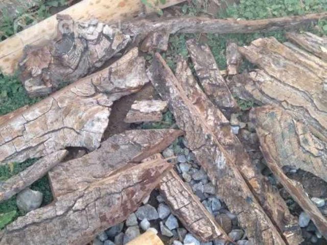 Vendo montones CORTEZA NOGAL 25 mil cada uno