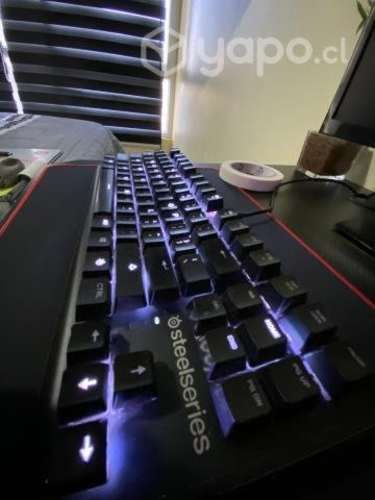 Pc gamer