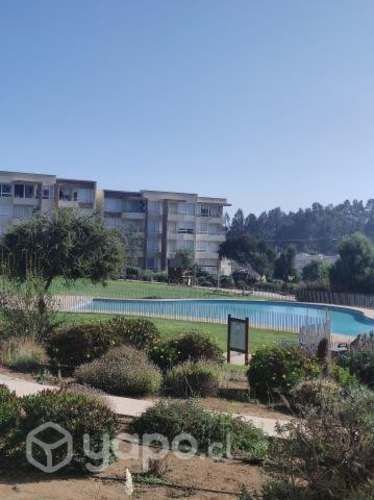 Hermoso depto lomas de papudo 4