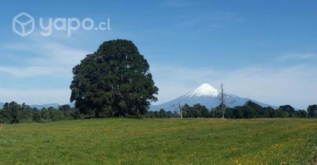 Proyecto Fundo Santa Sofia