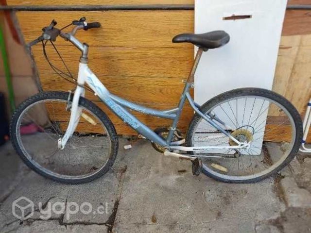 Bicicletas aro 26 Bianchi y Lahsen