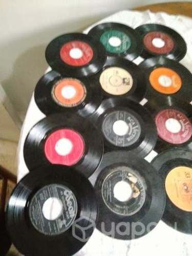 12 vinilos