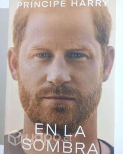 Libro Original En La Sombra