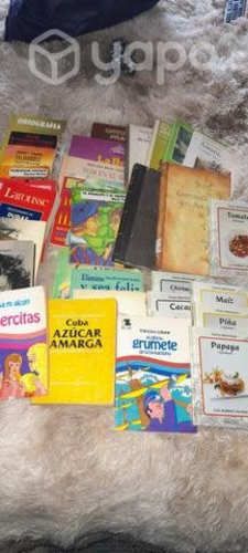 Lote de libros